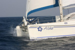 Catana 411