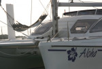 Catana 411